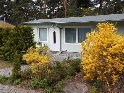 Sommerhus - 4 personer -  - Kiefernweg - 17454 - Zinnowitz