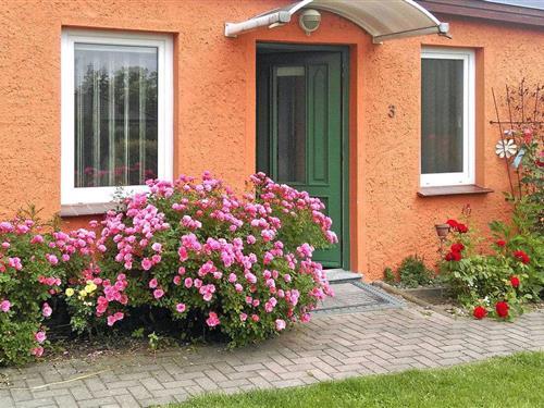 Ferieleilighet - 2 personer -  - Theodor-Koch-Weg - 18299 - Hohen Sprenz