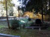 Bild 43