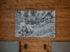 Bild 42