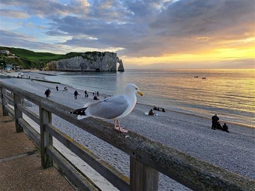 Ferielejlighed - 5 personer -  - Fécamp - 76400