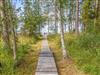 Bilde 19 - Inne