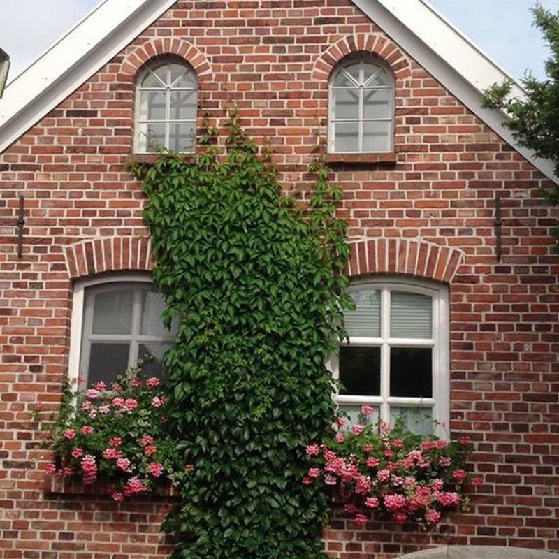 Sommerhus - 4 personer -  - Schöpfwerkstraße - 26725 - Emden