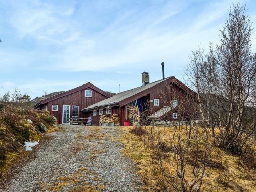 Holiday home - 10 persons -  - Førvassvegen - Haukelifjell/Edland - 3895 - Edland