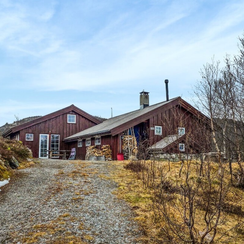 Sommerhus - 10 personer -  - Førvassvegen - Haukelifjell/Edland - 3895 - Edland