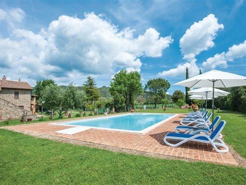 Holiday apartment - 4 persons -  - Loc. Piantaverna - Cinigiano - 58044 - Cinigiano Gr