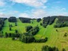 Bilde 21 - Ude