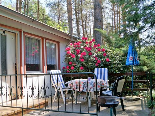 Ferielejlighed - 3 personer -  - Ahornallee - 15848 - Friedland