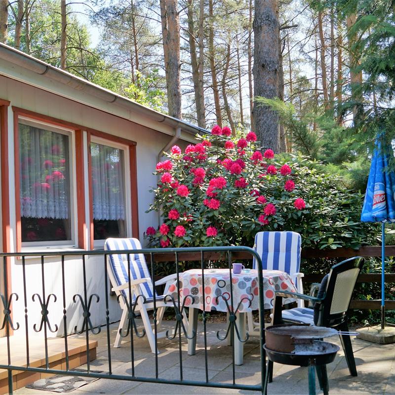 Ferielejlighed - 3 personer -  - Ahornallee - 15848 - Friedland