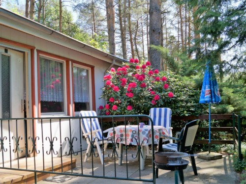 Ferielejlighed - 3 personer -  - Ahornallee - 15848 - Friedland