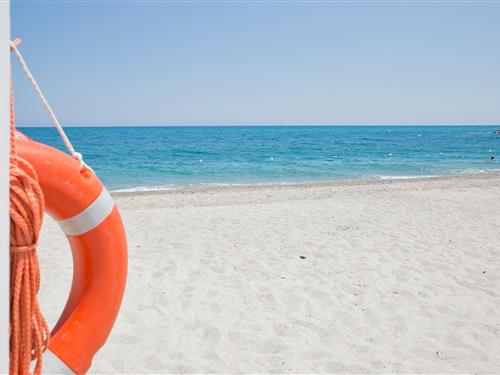 Ferienwohnung - 4 Personen -  - Viale Regina Elena - 47900 - Rimini