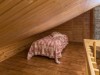 Bild 43 - Inde