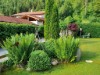 Bilde 5