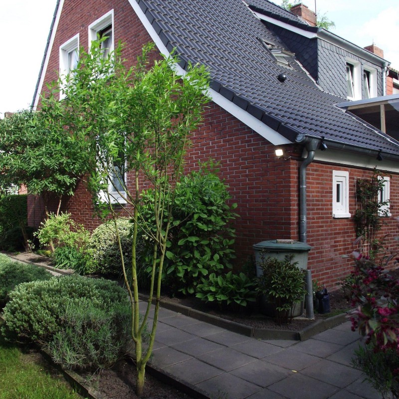 Ferielejlighed - 4 personer -  - Bürgermeister-Diekmann-Straße - 26789 - Leer In Ostfriesland