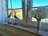 Bild 14