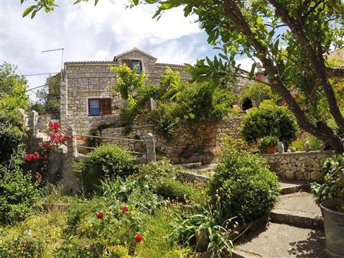 Holiday home - 4 persons -  - Franiceva - 21404 - Ložišca