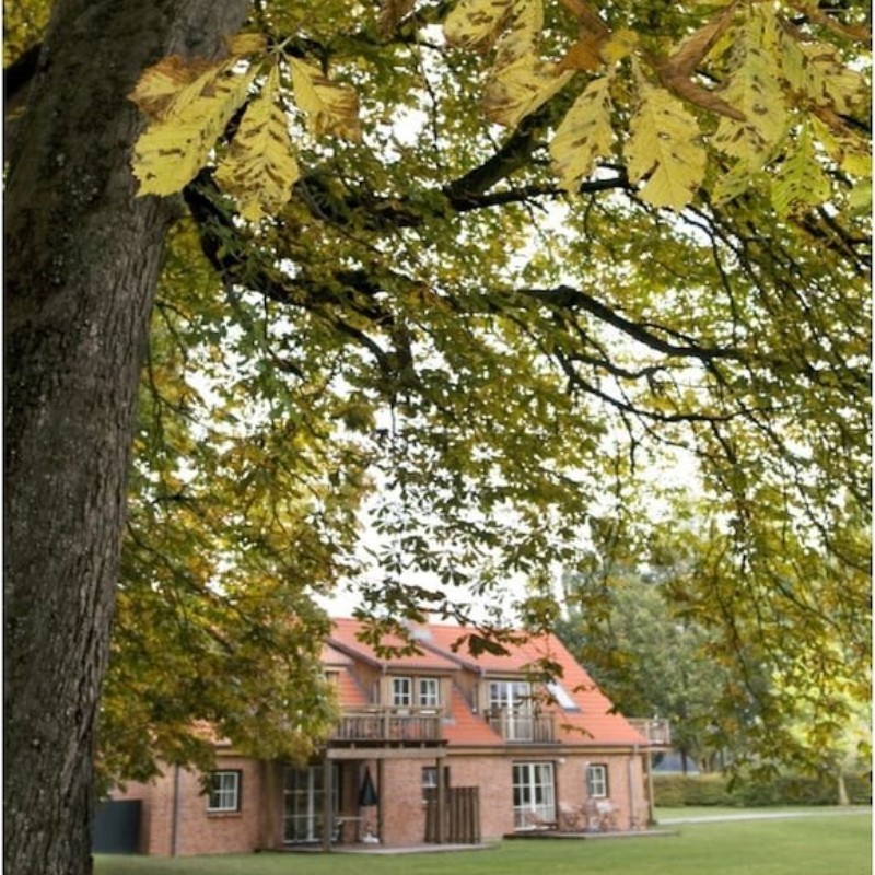Sommerhus - 4 personer -  - 23758 - Wangels\/ Ot Friederikenhof