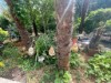 Bild 33 - Aussen