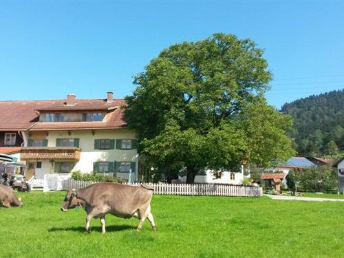 Holiday Home/Apartment - 2 persons -  - Wagneritz - 87549 - Rettenberg, Außenbereich