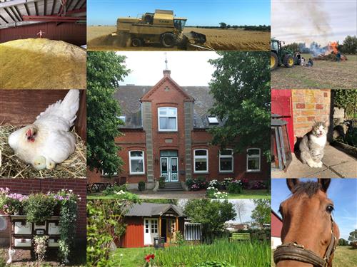 Ferieleilighet - 5 personer -  - Hinrichsdorf - 23769 - Hinrichsdorf