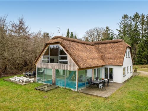 Ferienhaus - 20 Personen -  - Brandevej - Fasterholt - 7330 - Brande