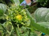 Bild 33 - Aussen