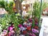 Image 30 - Outside