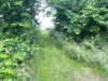 Bild 22