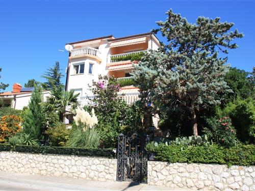 Holiday Home/Apartment - 3 persons -  - M. Tita - 51266 - Selce