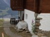Bild 11 - Ude