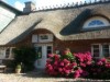 Bild 41