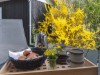 Bild 8 - Terrass