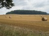 Bild 21