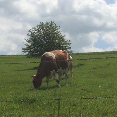 Billede 3