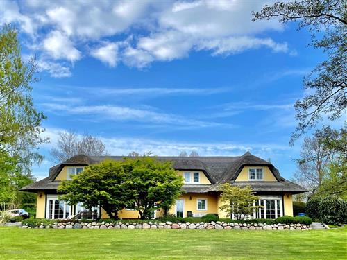 Holiday apartment - 2 persons -  - Weg zum Hohen Ufer - 18347 - Ahrenshoop