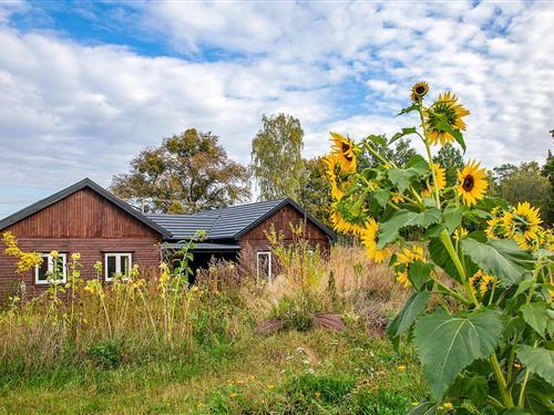 Ferieleilighet - 3 personer -  - Zalesie Szlacheckie - Tlen-Zalesie Szlacheckie - 86-141 - Zalesie Szlacheckie