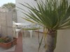 Image 2 - Outside
