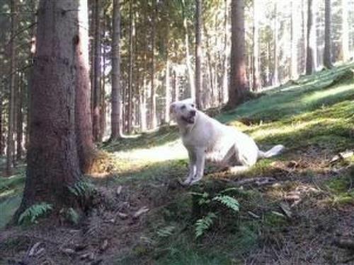 Holiday home - 2 persons -  - Elbersreuth - 95355