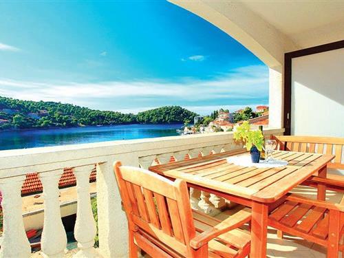 Holiday apartment - 5 persons -  - Brna bb - Korcula-Brna - 20272 - Smokvica