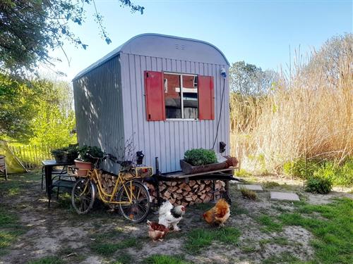 Rom - 3 personer -  - Cabanser Str. - 26427 - Stedesdorf