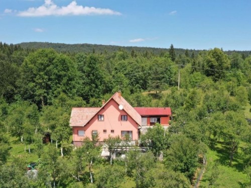 Ferieleilighet - 4 personer -  - Biljevina - 47306 - Saborsko
