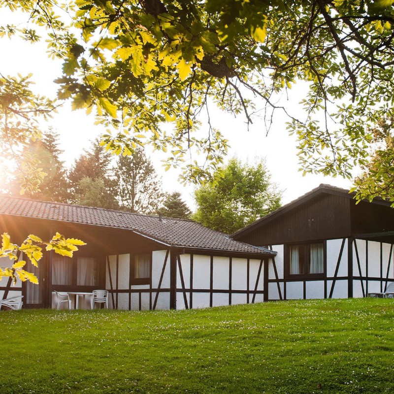 Sommerhus - 5 personer -  - Im Grafenwald - 54550 - Daun