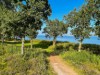 Afbeelding 22
