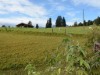 Bild 28 - Ude