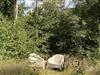 Billede 21 - Grund