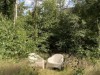 Bild 21 - Tomt