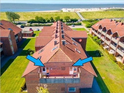 Sommerhus - 2 personer -  - Deichstr. - 26506 - Norddeich