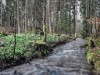 Billede 40 - Område
