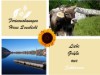 Bilde 21