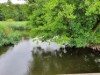 Image 14